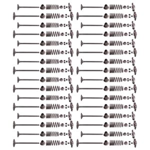 Ford Cobra Jet Valve Train Kit - Ford Racing - Cobra Jet 5.2L Titanium - 2018